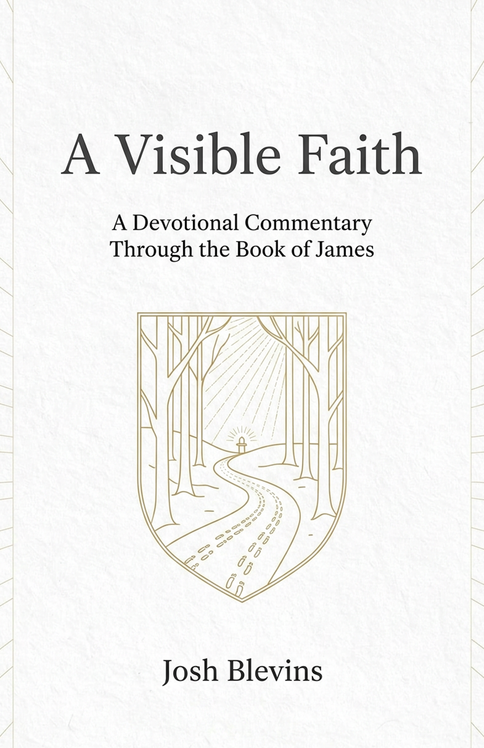 Cover of A Visible Faith